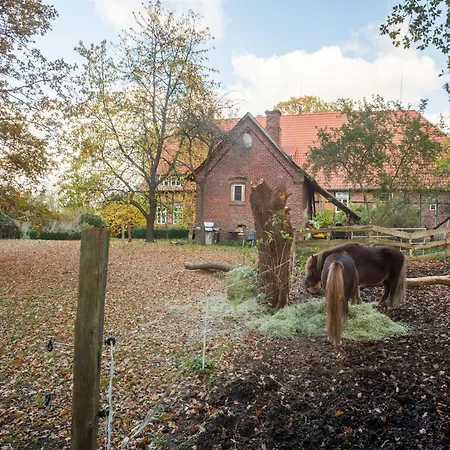Historic In Hohnebostel With Garden Near * Langlingen