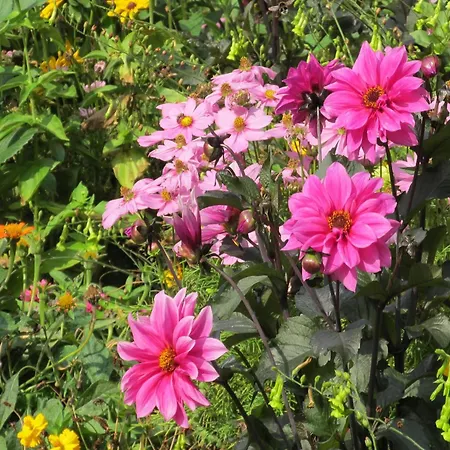 펜션 Historic In Hohnebostel With Garden Near 랭글링헨