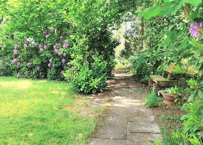 Historic In Hohnebostel With Garden Near Hébergement de vacances Langlingen